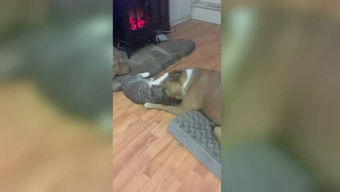 大毛游戏说,探索虚拟世界的无限魅力