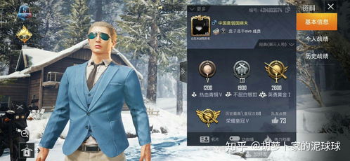 游戏辱国罪,揭秘网络虚拟世界中的民族尊严挑战