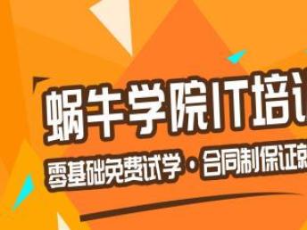 大专游戏费,揭秘游戏费背后的故事