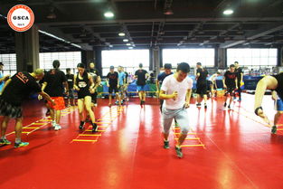 体能游戏打球,体能游戏中的篮球竞技之旅